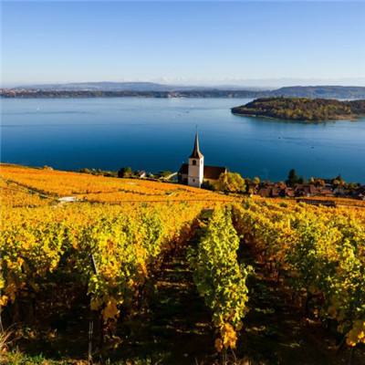 南宫28ng娱乐下载手机版