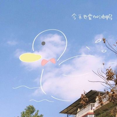 云开平台APP官方全站APP入口下载手机版