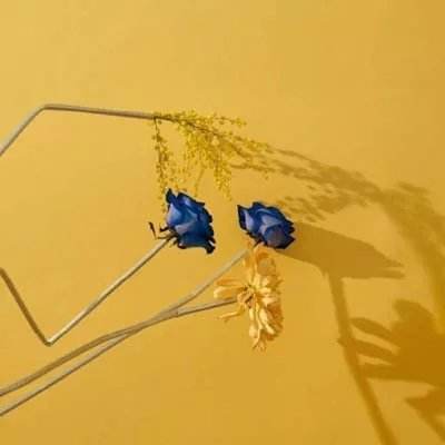 开元·appapp下载